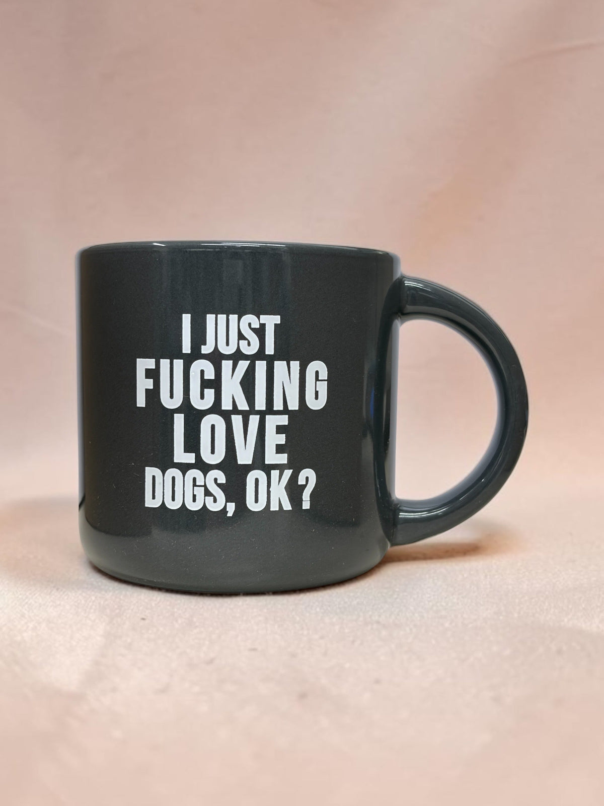 Coffee mug printed with “I just fucking love dogs, OK?”, additional view